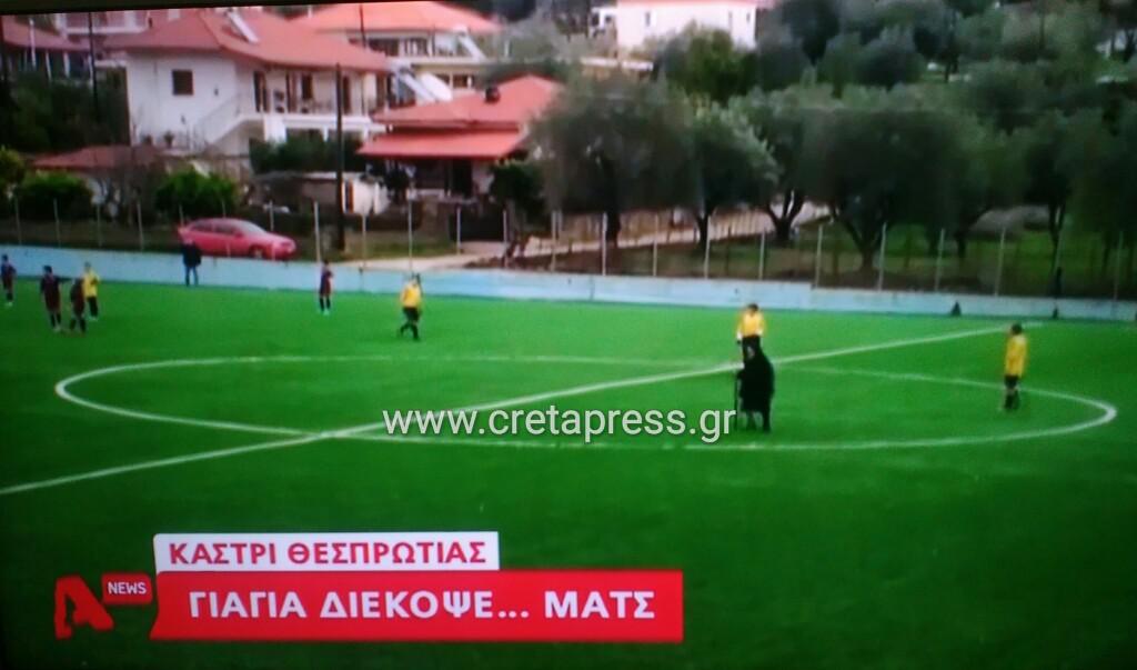 Απλά κορυφαίο! Γιαγιά διακόπτει αγώνα για να πάει στο στάβλο της!