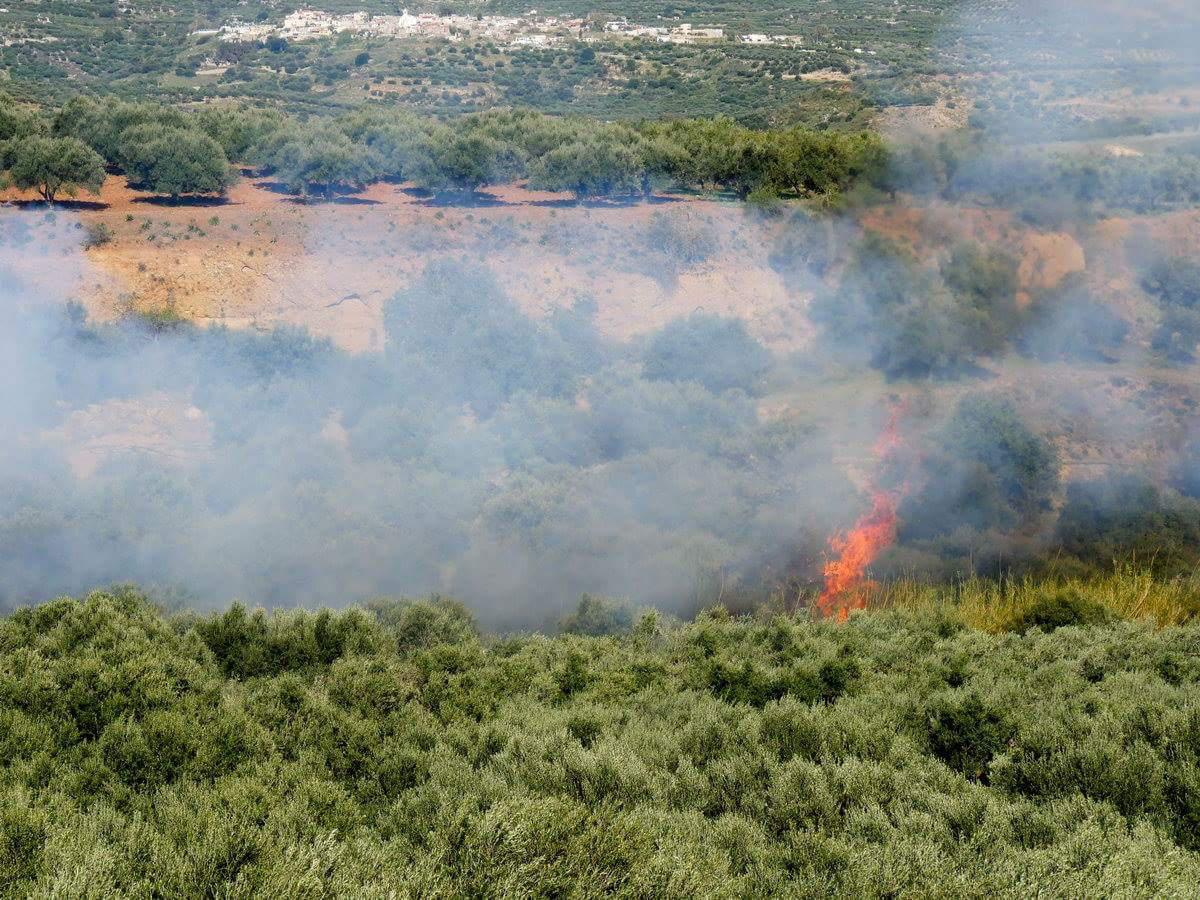 Φωτιά στο Ίνι Μινώα Πεδιάδος (φωτογραφίες)