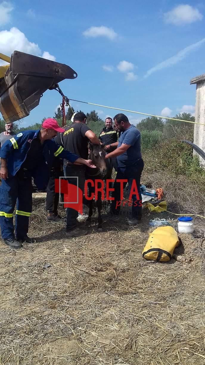 Πραιτώρια: Διάσωση πουλαριού που έπεσε σε πηγάδι (φώτο και βίντεο)