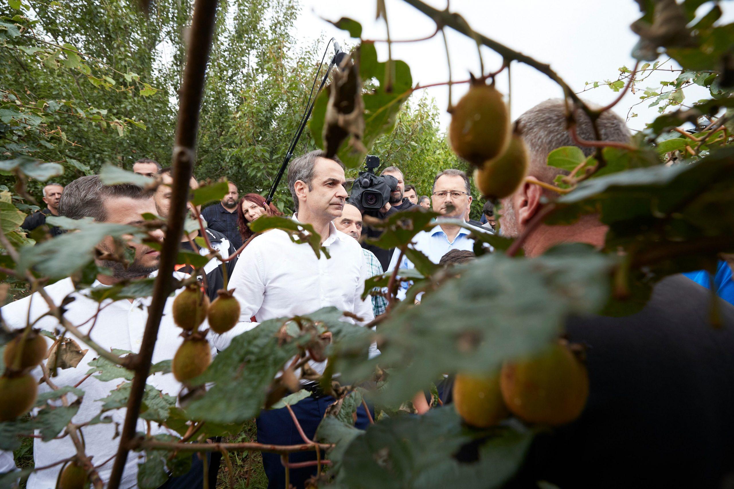 Ο Κυριάκος Μητσοτάκης για τον πρωτογενή τομέα