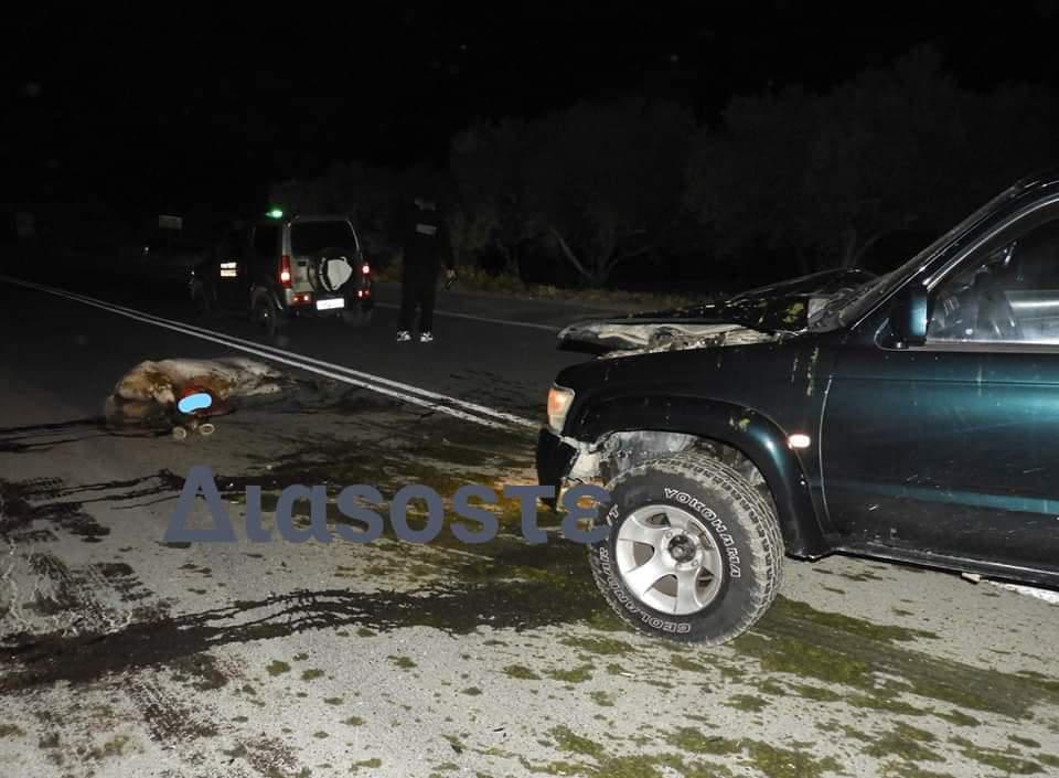 Φοβερή σύγκρουση αλόγου με αγροτικό  αυτοκίνητο!