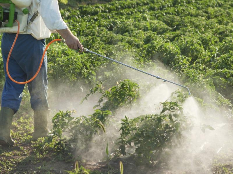 Ηράκλειο: Οδηγίες για σωστή εφαρμογή των φυτοπροστατευτικών προιόντων