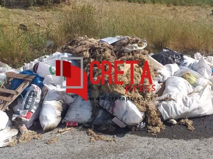 Αυτές οι εικόνες σίγουρα δεν τιμάνε κανένα!