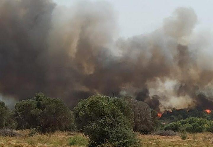 Ρόδος: Μεγάλη φωτιά σε δασική έκταση στην Παντάνασσα – Εκκενώνεται η Κοιλάδα των Πεταλούδων – Επιχειρεί και το Beriev-200