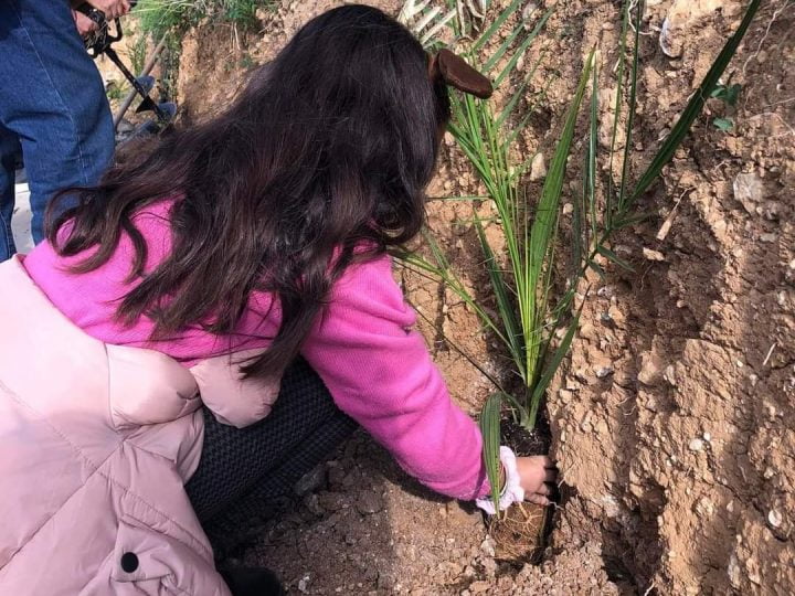 Δενδροφύτευση στο Κεραμούτσι