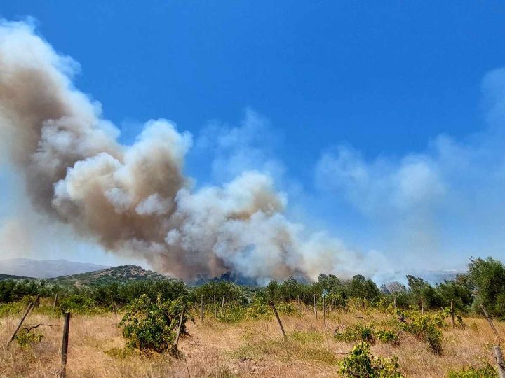Πυρκαγιά σε εξέλιξη στα Καλύβια Ηρακλείου
