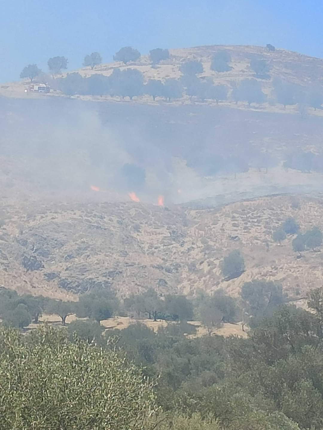 Πυρκαγιά στο Βουρβουλίτη στους Αγίους Δέκα