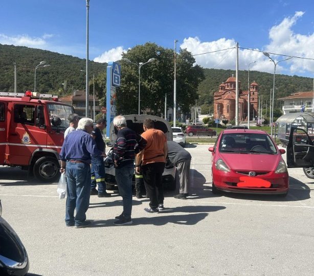 Καστοριά: Διάσωση σε γατάκι που μπήκε κάτω από αυτοκίνητο